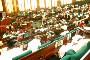 Floor-of-the-Nigerian-House-of-Representatives 2